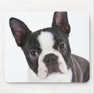Alfombrilla De Ratón Amo Boston Terrier Perro Cachorro Mousepad ordenad
