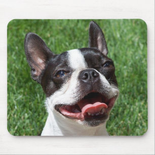 Alfombrilla De Ratón Amo Boston Terrier Perro Cachorro Mousepad ordenad