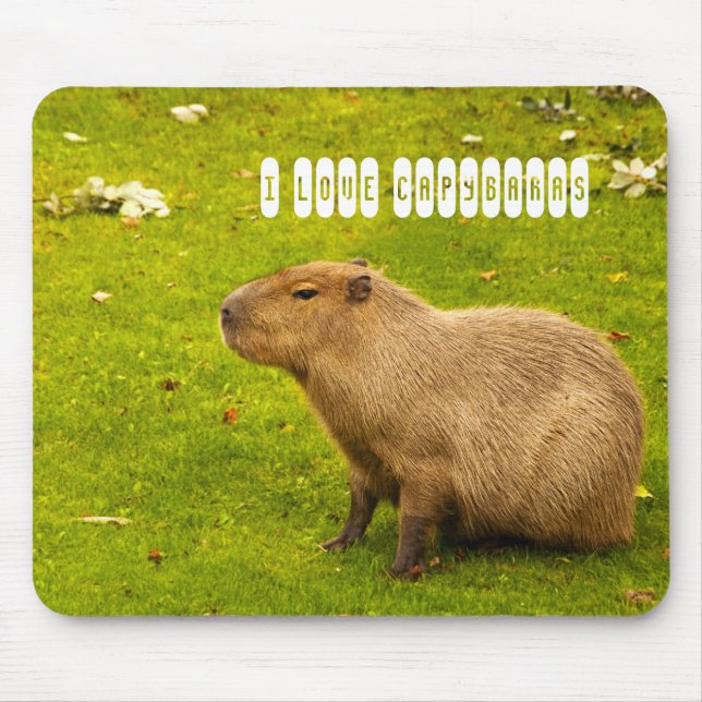 Alfombrilla De Ratón Amo el Porta ratón de Capybaras (Frente)