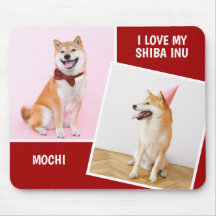 Amo Mi Shiba Inu Dos Fotografía