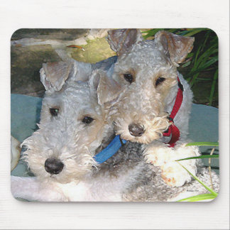 Alfombrilla De Ratón Amor