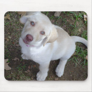 Alfombrilla De Ratón Amor adolescente