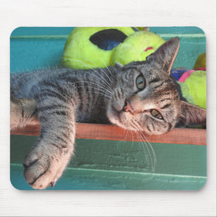 Alfombrilla De Ratón Amor al gato