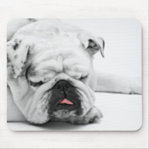 Alfombrilla De Ratón Amor blanco del bulldog