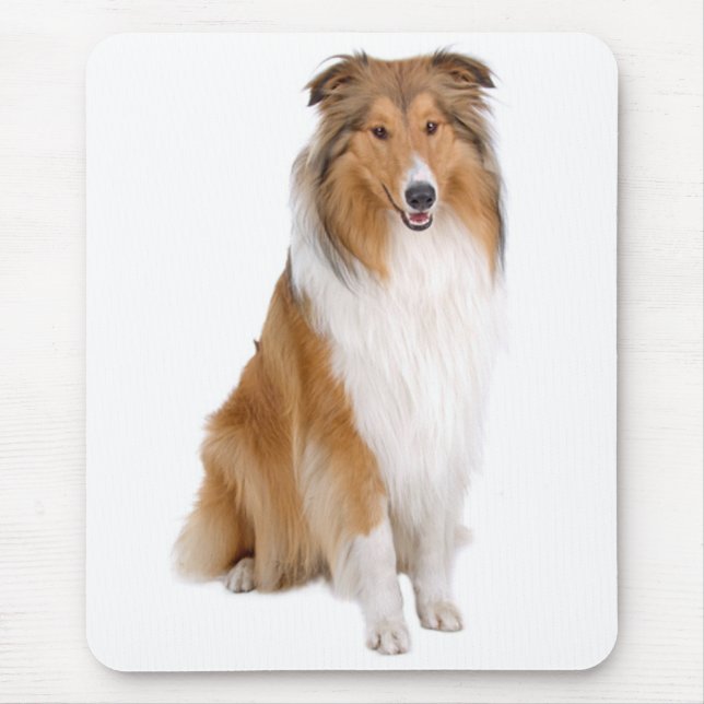 Alfombrilla De Ratón Amor Collie Puppy Dog (Lassie) Mousepad (Frente)