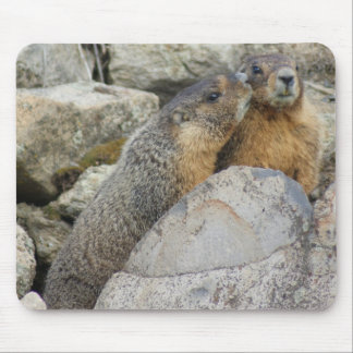 Alfombrilla De Ratón Amor de la marmota