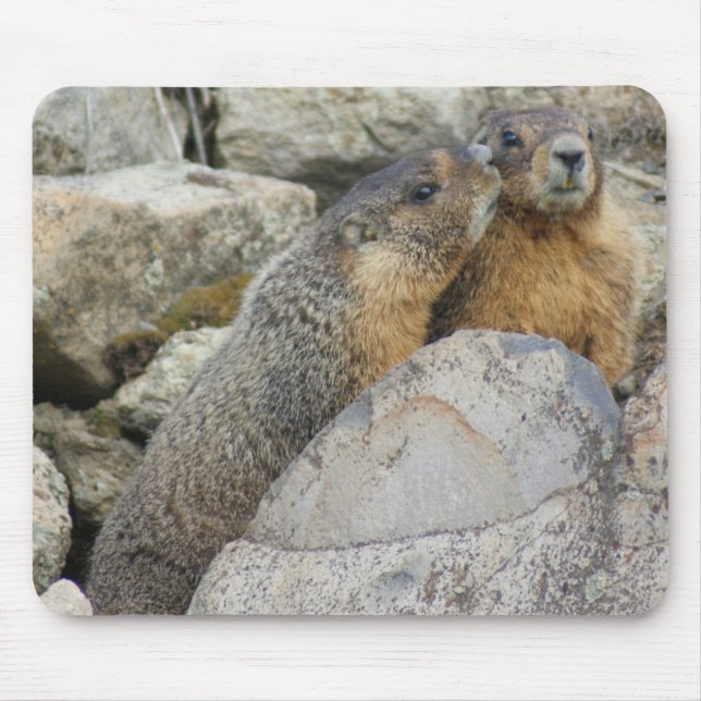 Alfombrilla De Ratón Amor de la marmota (Frente)
