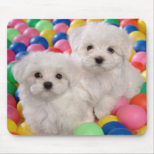 Alfombrilla De Ratón Amor Fraile blanco cachorro Perro Mousepad