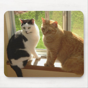Alfombrilla De Ratón Amor gato gato gatito