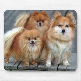 Alfombrilla De Ratón Amor Pomerania Perro picante Mousepad