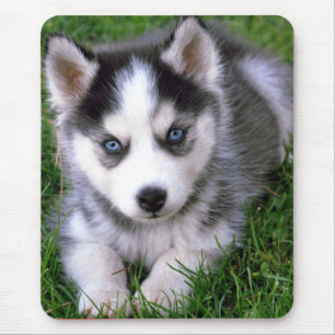 Alfombrilla De Ratón Amor Siberian Husky Perro Mousepad
