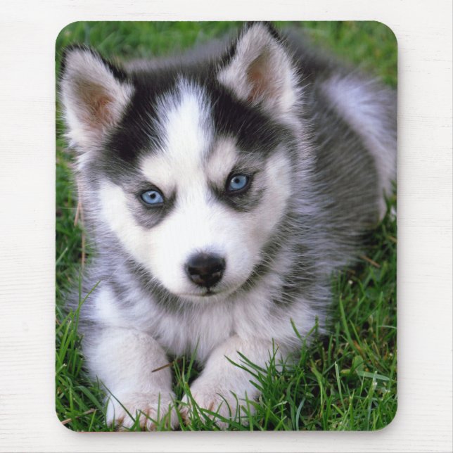 Alfombrilla De Ratón Amor Siberian Husky Perro Mousepad (Frente)