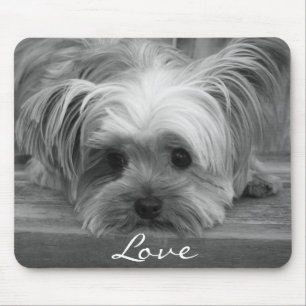 Alfombrilla De Ratón Amor Yorkshire Terrier Perro Mousepad