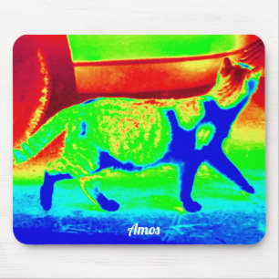 Alfombrilla De Ratón AMOS ~ Diseño térmico personalizado ~ gato español