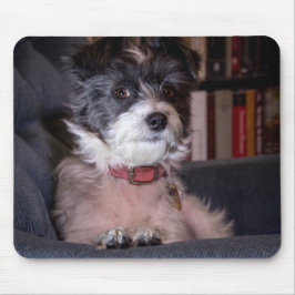 Alfombrilla De Ratón Ana, de 5328 a 30 años, el perro papijack