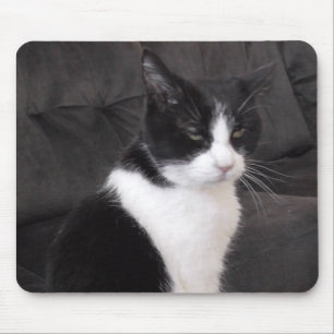 Alfombrilla De Ratón Añada la foto de su mascota a esto lindo