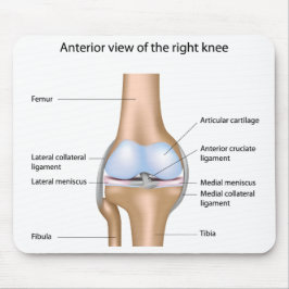 Alfombrilla De Ratón Anatomía de la junta de rodilla Mousepad