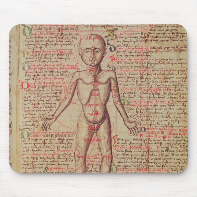 Alfombrilla De Ratón Anatomía del cuerpo humano (Frente)