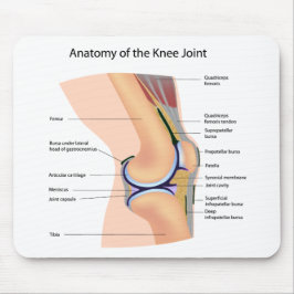 Alfombrilla De Ratón Anatomía del mousepad humano de la junta de