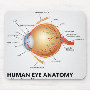 Alfombrilla De Ratón Anatomía ocular humana de ojo derecho