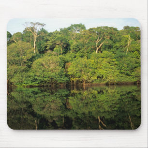 Alfombrilla De Ratón Anavilhanas, Amazonas, Brasil. Río de selva tropic