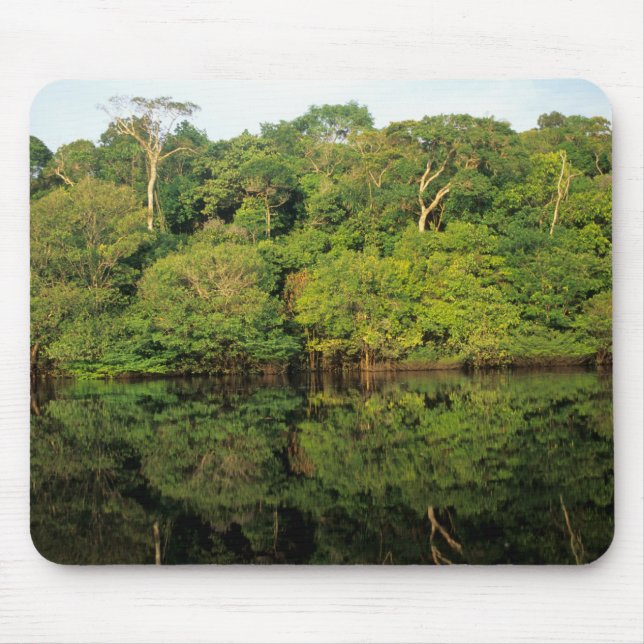 Alfombrilla De Ratón Anavilhanas, Amazonas, Brasil. Río de selva tropic (Frente)