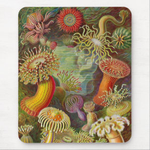 Alfombrilla De Ratón Anémona de mar Vintage Haeckel