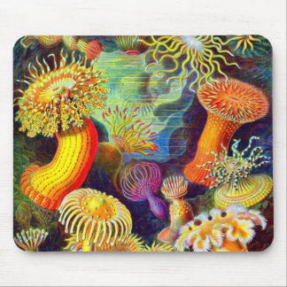 Alfombrilla De Ratón Anémonas del mar de Ernst Haeckel