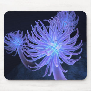 Alfombrilla De Ratón Anémonas Mousepad