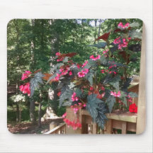 Angel Begonia con Woods en segundo plano