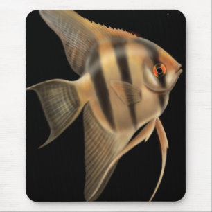 Alfombrilla De Ratón Angelfish de agua dulce Mousepad