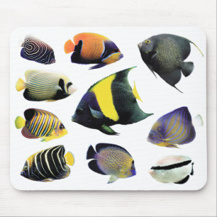 Alfombrilla De Ratón Angelfish marinoの マ ウ ス パ ド,No.02