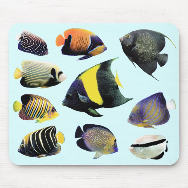 Alfombrilla De Ratón Angelfish marinoの マ ウ ス パ ドNo.01 (Frente)