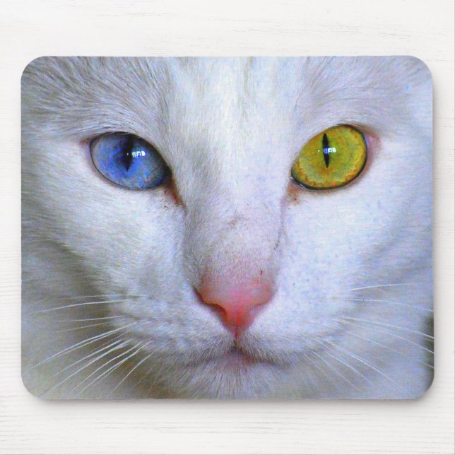 Alfombrilla De Ratón Angora turco Mousepad (Frente)