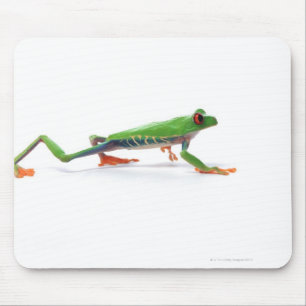 Alfombrilla De Ratón Anguila de los ojos rojos