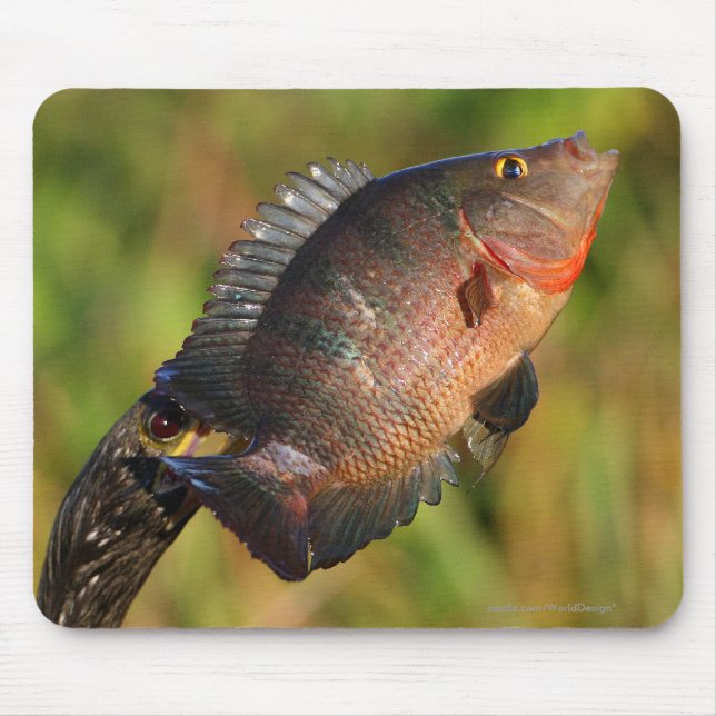 Alfombrilla De Ratón Anhinga y pescados (Frente)