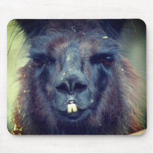 Alfombrilla De Ratón Animal de la cara de la llamada negra