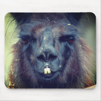 Alfombrilla De Ratón Animal de la cara de la llamada negra
