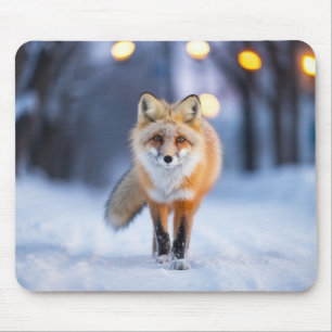 Alfombrilla De Ratón Animal de la vida silvestre Fox en la calle al air