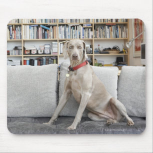 Alfombrilla De Ratón Animal femenino