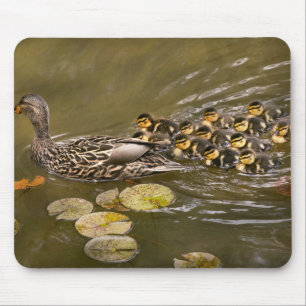 Alfombrilla De Ratón Animal - Patos - Nadar como un pato