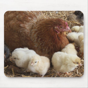 Alfombrilla De Ratón animal, polluelo, pollo, granja, lindo, pájaro, be