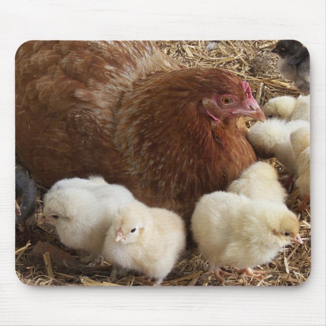 Alfombrilla De Ratón animal, polluelo, pollo, granja, lindo, pájaro, be (Frente)