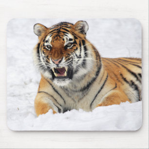 Alfombrilla De Ratón Animal salvaje personalizado del tigre