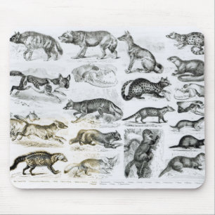 Alfombrilla De Ratón Animales carnívoros