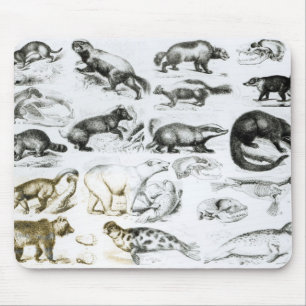 Alfombrilla De Ratón Animales carnívoros