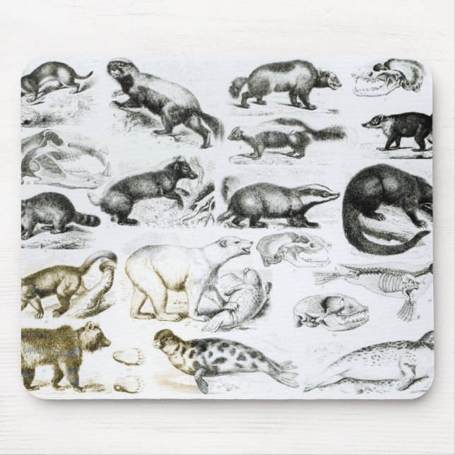 Alfombrilla De Ratón Animales carnívoros (Frente)
