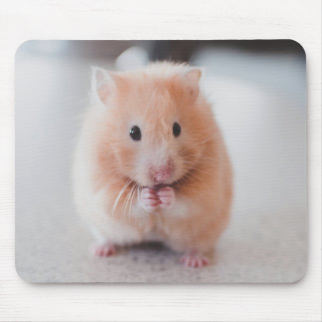 Alfombrilla De Ratón Animales De Amor De Hámster Cute (Frente)