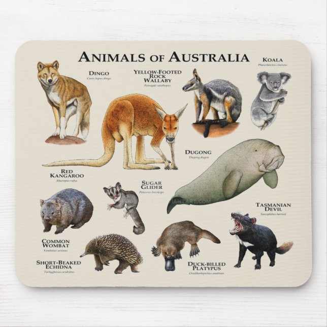 Alfombrilla De Ratón Animales de Australia (Frente)