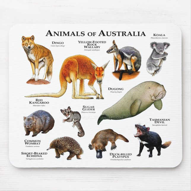 Alfombrilla De Ratón Animales de Australia (Frente)